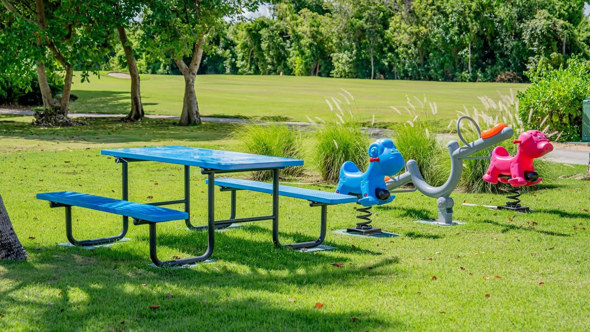 Xeliter Cana Rock Punta Cana